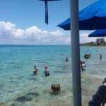 Cozumel Beach + Snorkeling Time - How the Tour Combines Snorkeling with Beach Relaxation