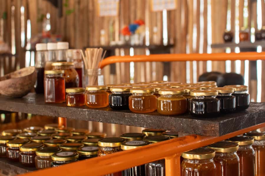 Cozumel Buggy Tour, Otoch Mayan Experience & Clear Boat - Transparent Boat to the Reef Park: 1 Hour of Marine Viewing