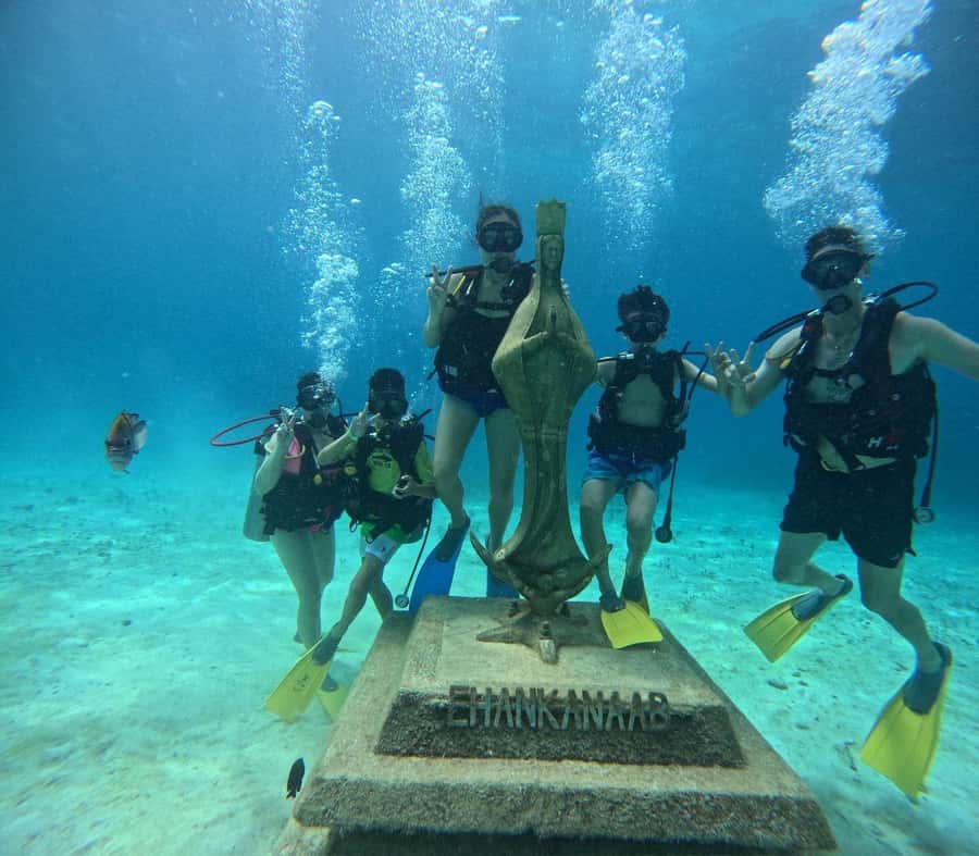 Cozumel: Chankanaab Park All-Inclusive Experience with Pool - The Unique All-Inclusive Nature of the Chankanaab Tour