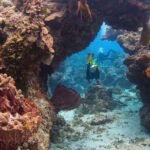 Cozumel: Discover Scuba Diving - What Divers Learn During the Briefing