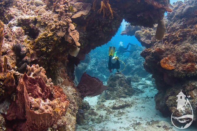 Cozumel: Discover Scuba Diving - What Divers Learn During the Briefing