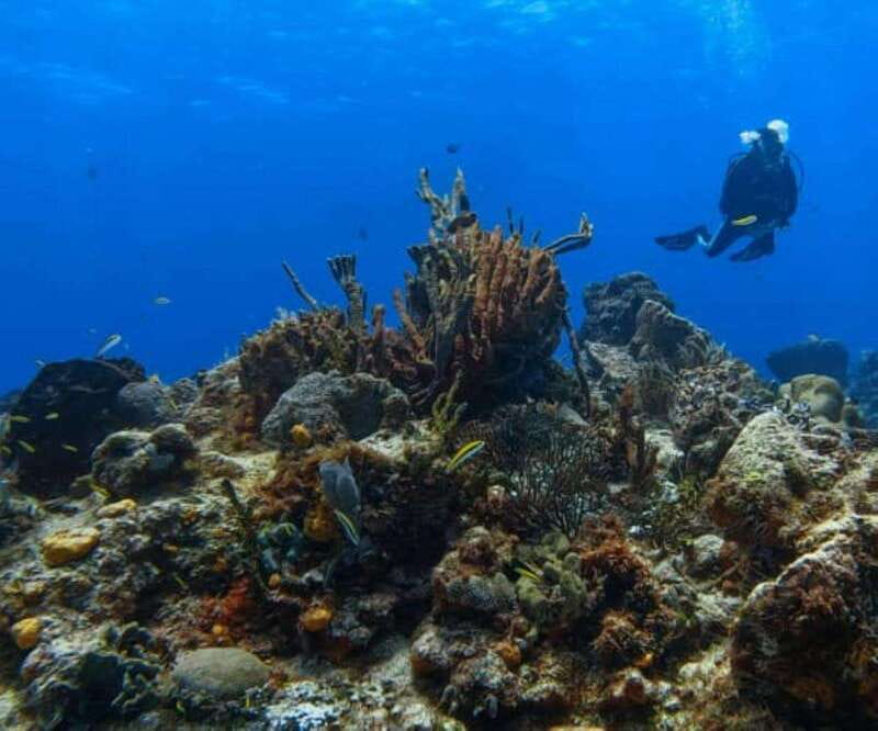 Cozumel: Discover Scuba Diving - What’s Included in the Cost of $207