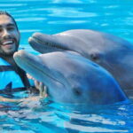 Cozumel: Dolphin Royal Swim and Manatee Interaction - The Royal Swim Program: Swimming with Two Dolphins