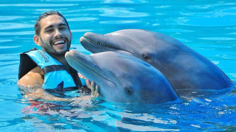 Cozumel: Dolphin Royal Swim and Manatee Interaction - The Royal Swim Program: Swimming with Two Dolphins