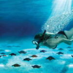 Cozumel: El Cielo & Palancar Snorkel with Open Bar & Ceviche - Comfortable Transportation & Small Group Setting