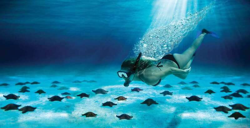 Cozumel: El Cielo & Palancar Snorkel with Open Bar & Ceviche - Comfortable Transportation & Small Group Setting