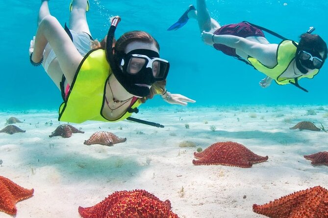 Cozumel Island Tour with your chosen vehicle - Exploring Cozumel’s Most Iconic Spots