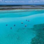 Cozumel: KUZÁ Day Pass, Buffet, Open Bar & El Cielo Snorkel - Exploring El Cielo and the Starfish Sanctuary