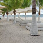 Cozumel Mayan Ruins and Beach Break - Scenic Beach Stops Showcasing Cozumel’s Wild Side