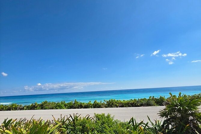 Cozumel Minivan Private Tour Experience - Starting Point and Tour Duration