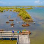 Cozumel: Private Buggy Tour to Punta Sur Park All Inclusive - Exploring Punta Sur Park’s Top Sights