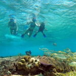 Cozumel: Private Charter Boat and Snorkel Day Trip - Discover the Secluded Reef with Guided Snorkeling