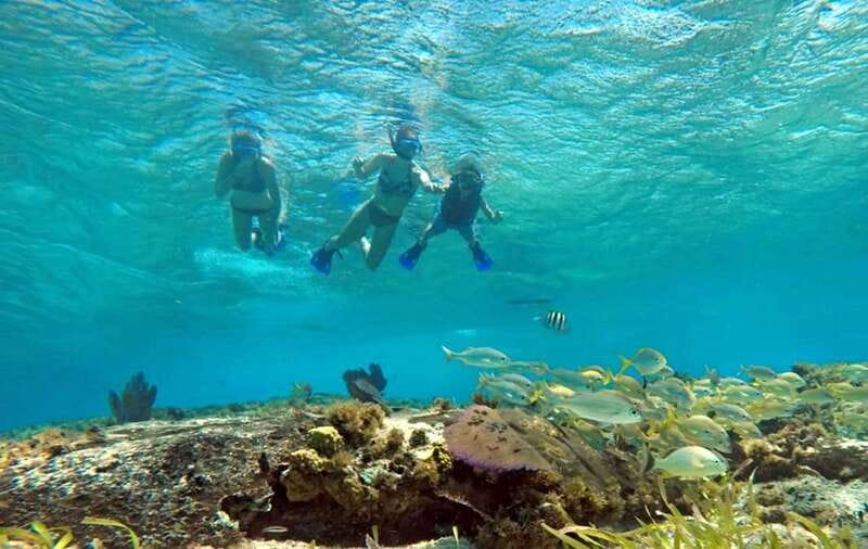 Cozumel: Private Charter Boat and Snorkel Day Trip - Discover the Secluded Reef with Guided Snorkeling