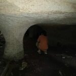 Cozumel Private Mayan caves & history Tour with cenote & Lunch - Scenic Views from Coconuts on the Island’s Highest Peak