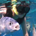 Cozumel: Private Snorkel Experience at Skyreef Beach Club - Scenic Stops Along Cozumel’s Shoreline