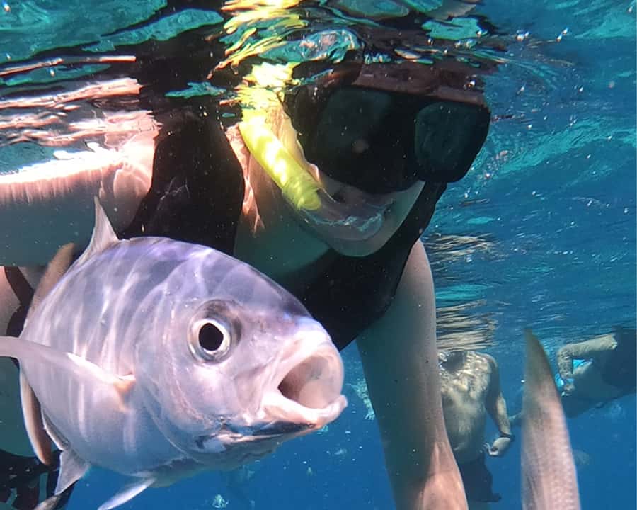 Cozumel: Private Snorkel Experience at Skyreef Beach Club - Scenic Stops Along Cozumel’s Shoreline