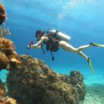 Cozumel Scuba Dive at Chankanaab - Cozumel’s Underwater Highlights with Chankanaab’s Expert Guides