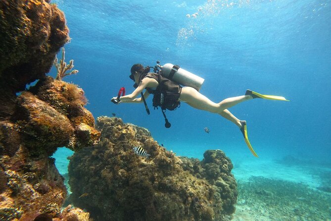 Cozumel Scuba Dive at Chankanaab - Cozumel’s Underwater Highlights with Chankanaab’s Expert Guides