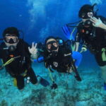 Cozumel: Shipwreck and Reef Dive with Lunch - Convenient Round-Trip Transportation from Cancun and Riviera Maya
