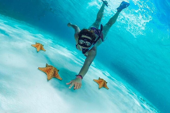 Cozumel Snorkel Experience! El Cielo Beach & Reef from Tulum City - Snorkeling at Cozumel’s Most Beautiful Spots