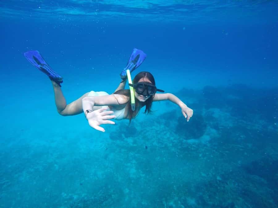 Cozumel: Snorkeling at Playa El Cielo with drinks, ceviche, and more - Snorkeling at Palancar Reef and Cozumel Reef