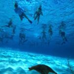 Cozumel: snorkeling on reefs + visit to "El Cielo" - Snorkeling at Columbia Reef: An Underwater Wonder