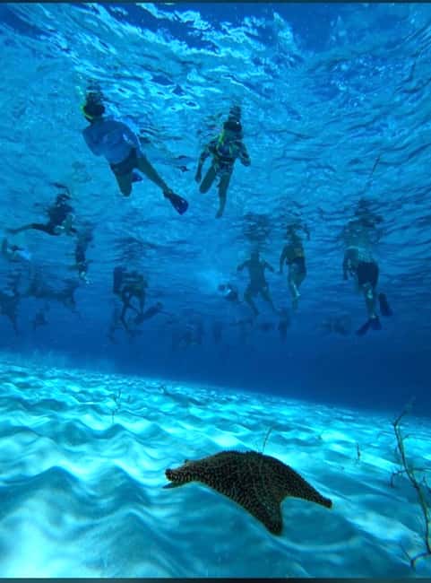 Cozumel: snorkeling on reefs + visit to "El Cielo" - Snorkeling at Columbia Reef: An Underwater Wonder