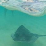 Cozumel Snorkeling to Palancar & El Cielo with drinks & Snack - Exploring Palancar Reef: Calm Waters and Clear Visibility