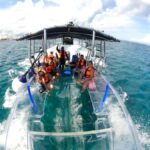 Cozumel: Transparent Boat Tour with Snorkeling and 2 Beers - Snorkeling at Villablanca Reef, the Second Largest Reef in the World