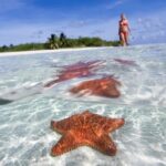 Cozumel Underwater Wonders: El Cielo Sandbar & Reef Snorkeling - Snorkeling at Cozumel’s Premier Reefs