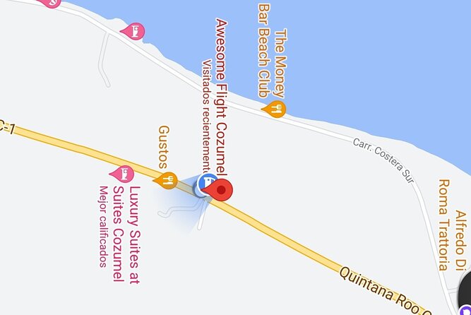 Cozumel zipline thrill adventures - The Six Zip Lines: A Variety of Heights, Distances, and Speeds