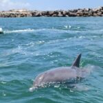 Crab Island Dolphin Jet Ski Adventure - Starting Point at 322 Miracle Strip Pkwy SW