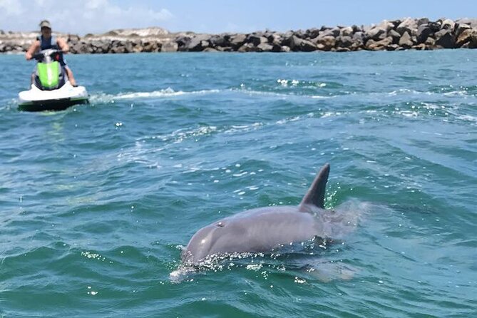 Crab Island Dolphin Jet Ski Adventure - Starting Point at 322 Miracle Strip Pkwy SW