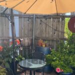 Craft Cider & Mead Tasting in New Orleans (45 Minutes) - What Makes This Cider & Mead Tasting Stand Out