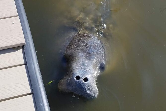 Craigcat Rental in Merritt Island - Starting Point and Meeting Details in Merritt Island