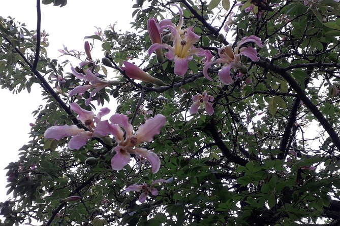 Create from your soul - Variety of Creative Activities to Suit Your Interests