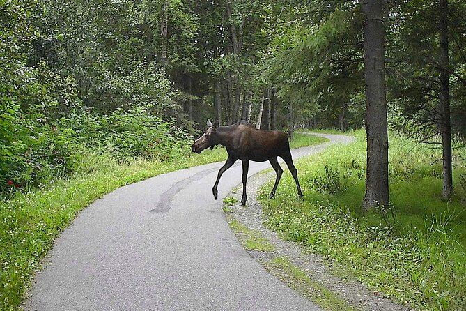 Creative Soul Scavenger Hunt Anchorage on the Tony Knowles Trail - How the Personalization with Tara Works