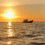 Crescent Beach: Sunset Wildlife Cruises in BC - Scenic Departure from Crescent Beach Marina