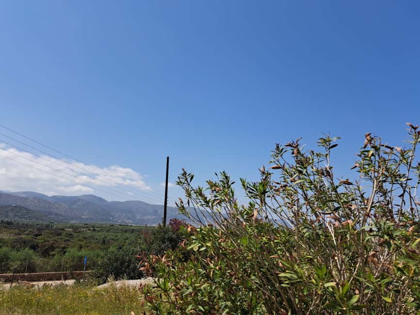 Crete: Malia, Potamos Beach, and Sissi Tuk Tuk Tour - Visiting Potamos Beach: Serenity in Golden Sands