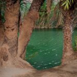 Crete: Preveli Tropical Beach and Palm Forest - Discovering Preveli Beach: Crete’s Tropical Escape