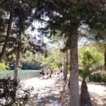 Crete: Trypiti Beach Off-Road South Tour w/ Lunch & Wine - The Scenic Drive Through Messara Valley and Ancient Ruins