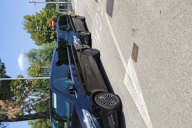 Cruise port Trieste or Ravenna from Venice-Mestre area - The Transport Vehicle: Comfort and Practicality