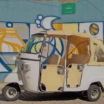 Cruise Shore Excursion - Private Tuk Tuk Tour to the Historic Center - Join a Private Tuk Tuk for a Flexible Tour of Porto’s City Center