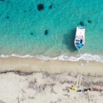 Cruise to turtle's island and caves with a glass bottom boat - Wildlife Spotting and Snorkeling at Turtle Island