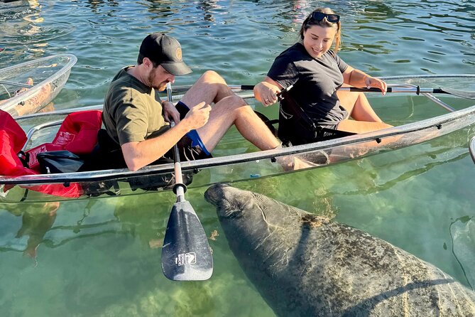 Crystal River: Clear Kayak Manatee Eco Tour (Free Photo Package) - What’s Included in the Tour Package