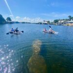 Crystal River: Clear Kayak Manatee & Springs Tour - Navigating Three Sisters Springs