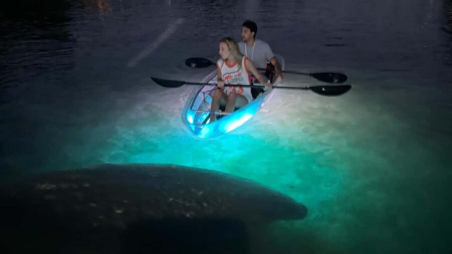 Crystal River: Clear Kayak Sunset & Night Glow Tour - The Allure of Crystal River’s Sunset and Glow Experience