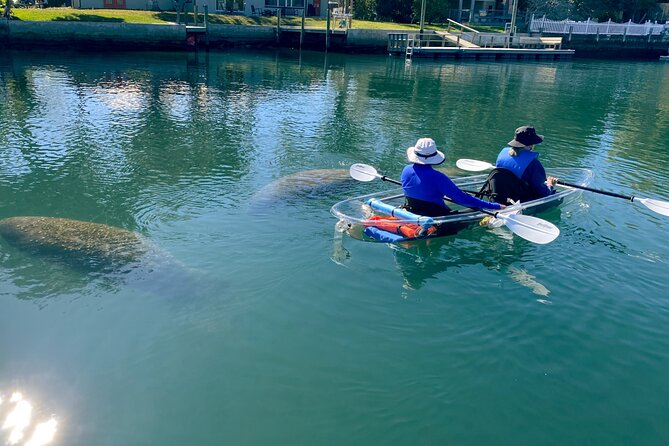 Crystal River Florida: Clear Kayak Guided Manatee Eco-Tour - Details of the Itinerary and Stops