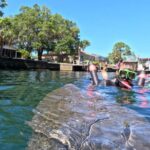 Crystal River: Guided Manatee Snorkeling Tour - Starting Point and Transportation Logistics