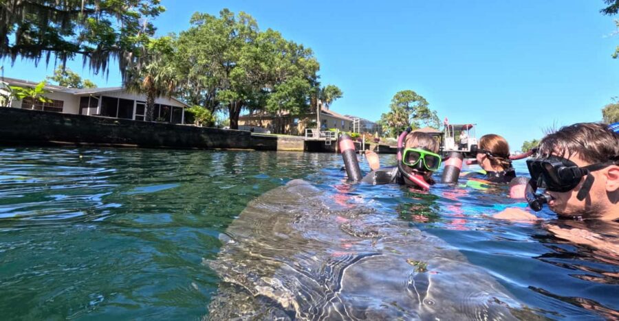 Crystal River: Guided Manatee Snorkeling Tour - Starting Point and Transportation Logistics